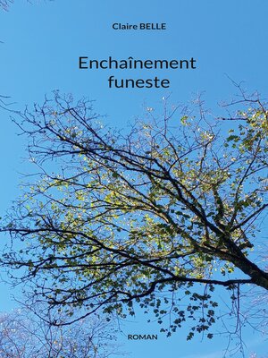 cover image of Enchaînement funeste